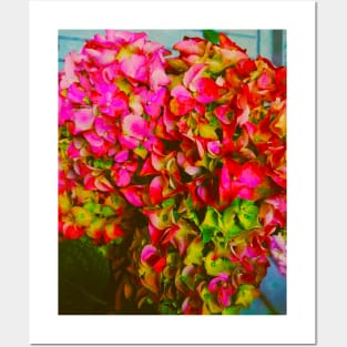 Pink Hydrangea Plant Lovers Gift Posters and Art